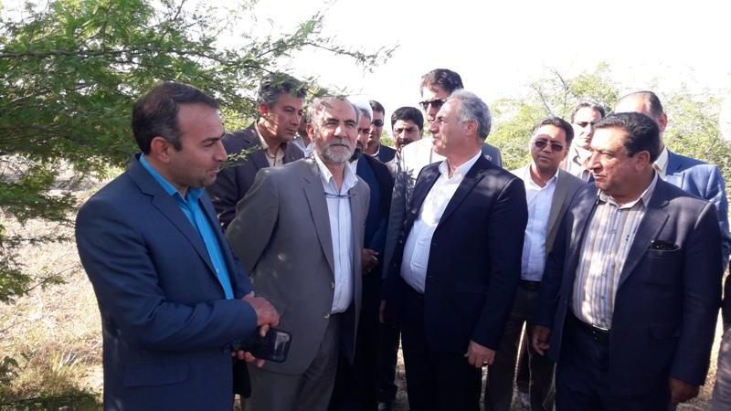 6 هزار میلیارد ریال برای جنگل کاری استان های زاگرس نشین هزینه می شود 6 هزار میلیارد ریال برای جنگل کاری استان های زاگرس نشین هزینه می گردد
