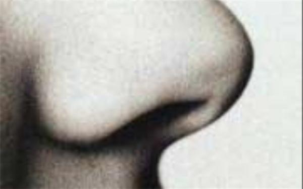تعیین دقیق زمان مرگ با مژک های بینی! معین دقیق زمان مرگ با مژک های بینی!