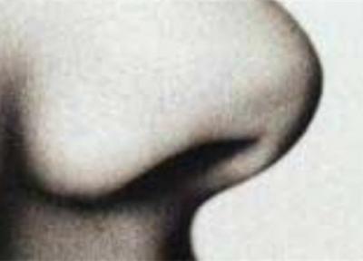 معین دقیق زمان مرگ با مژک های بینی!