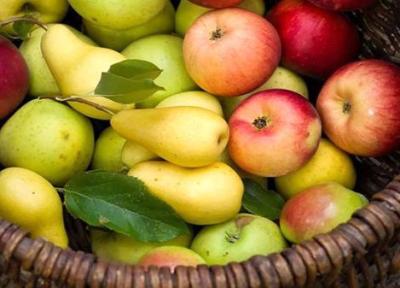 میوه های سرشار از آنتی اکسیدان کدامند؟